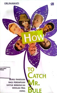 Image of How To Catch Mr Bule