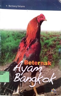 Image of Beternak Ayam Bangkok