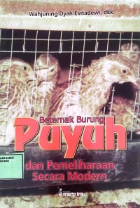 Image of beternak burung puyuh