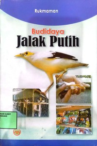 Image of budidaya jalak putih