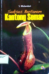 Image of sukses bertanam kantong semar