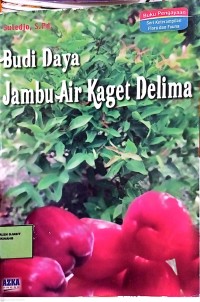 Image of Budi daya jambu air kaget delima