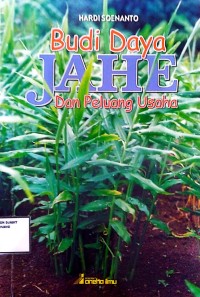 Image of Budi Daya Jahe dan Peluang Usaha