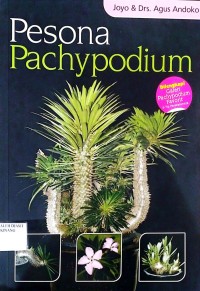 Image of pesona pachypodium